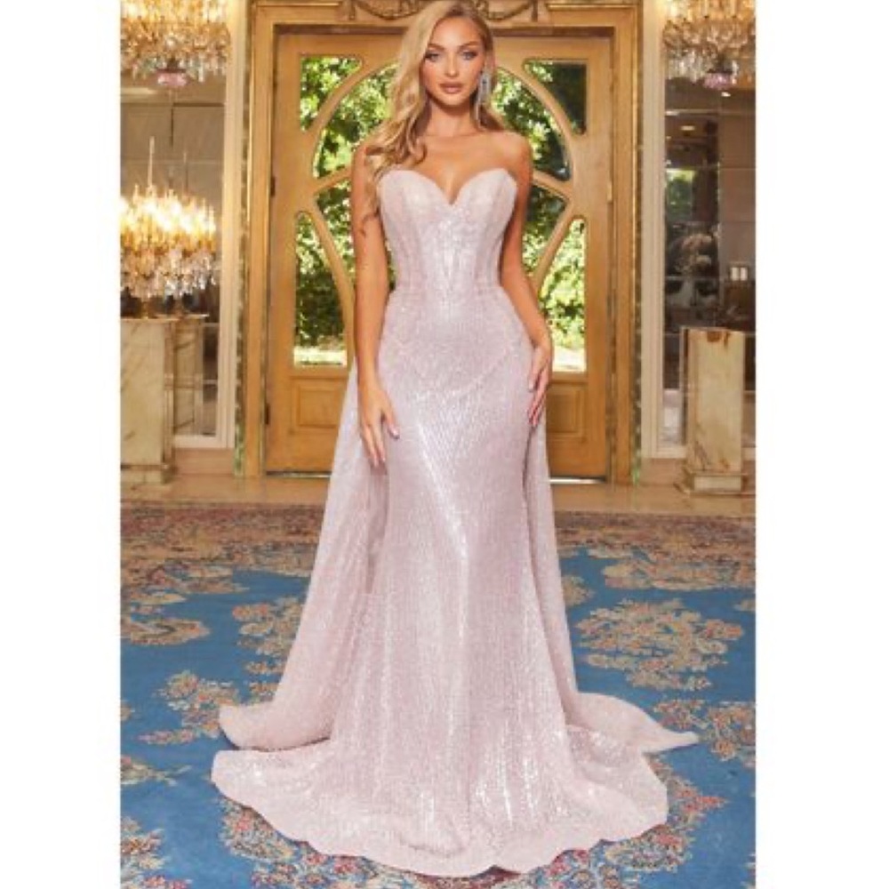 Blush Couture Beaded Gown With Overskirt Gem